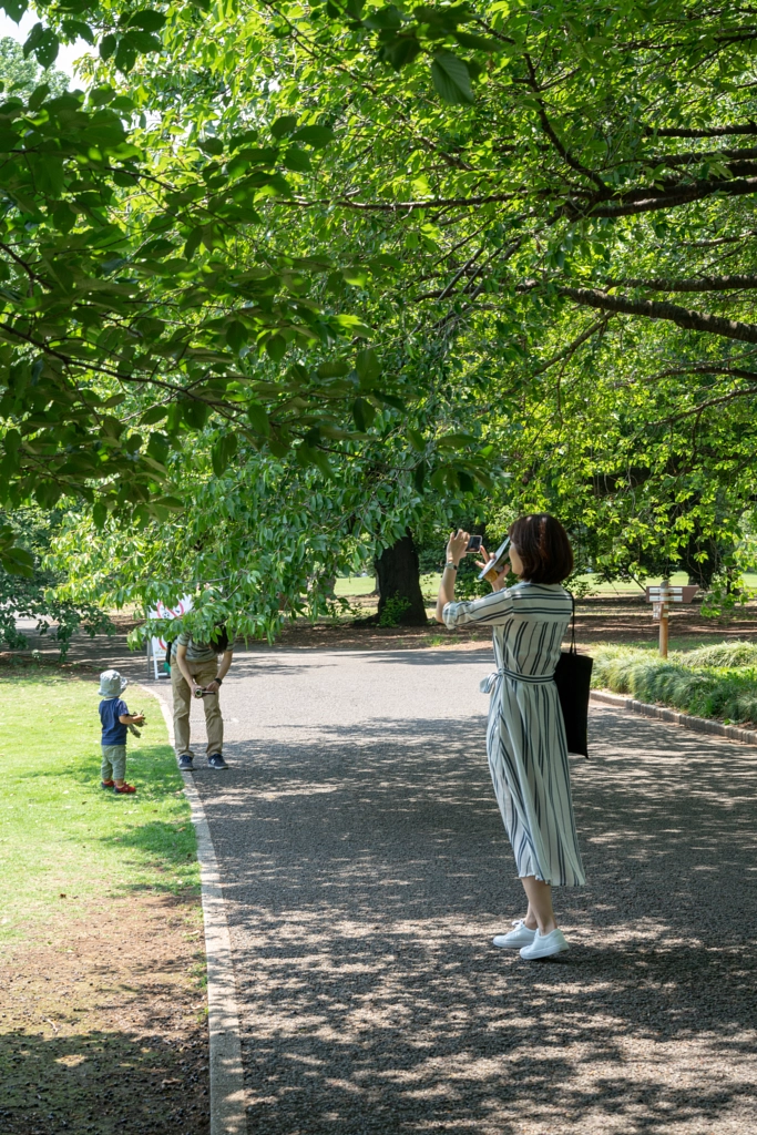 500px.comのfotois youさんによるShinjyuku Gyoen