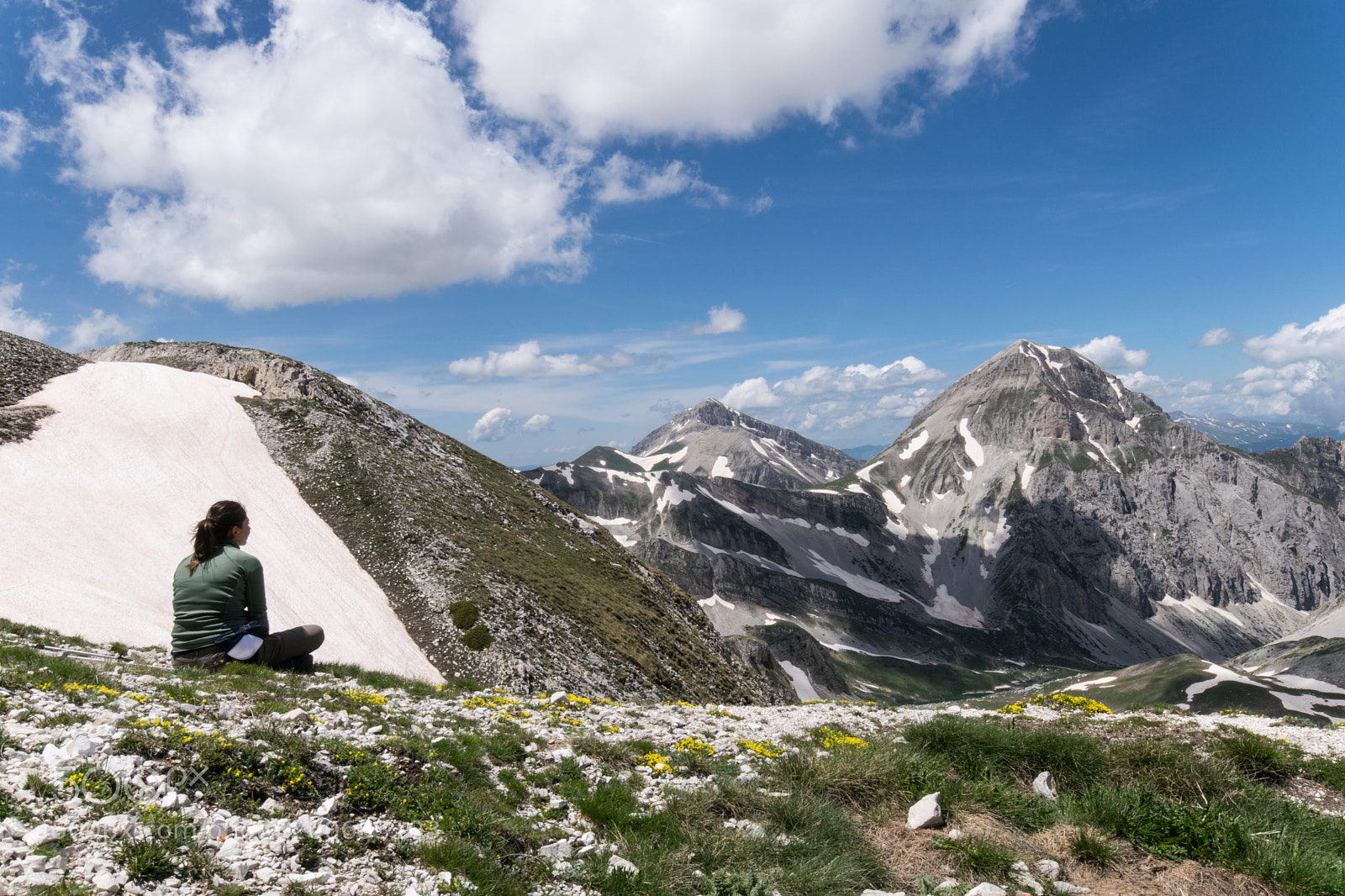 Nikon D5300 sample photo. Into the wild photography