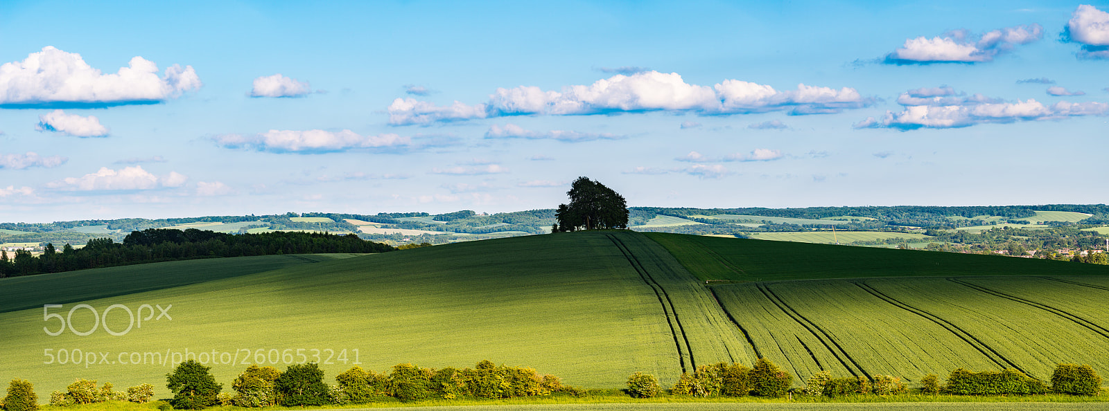 Nikon D800 sample photo. Wittenham clumps photography