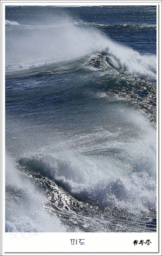 Canon EOS 60D sample photo. 파도(wave) photography