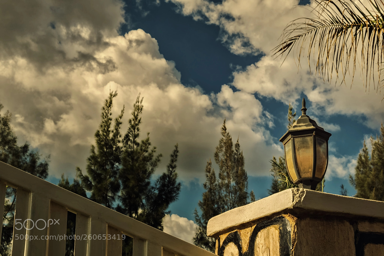 Sony a6000 sample photo. A lamp on a photography