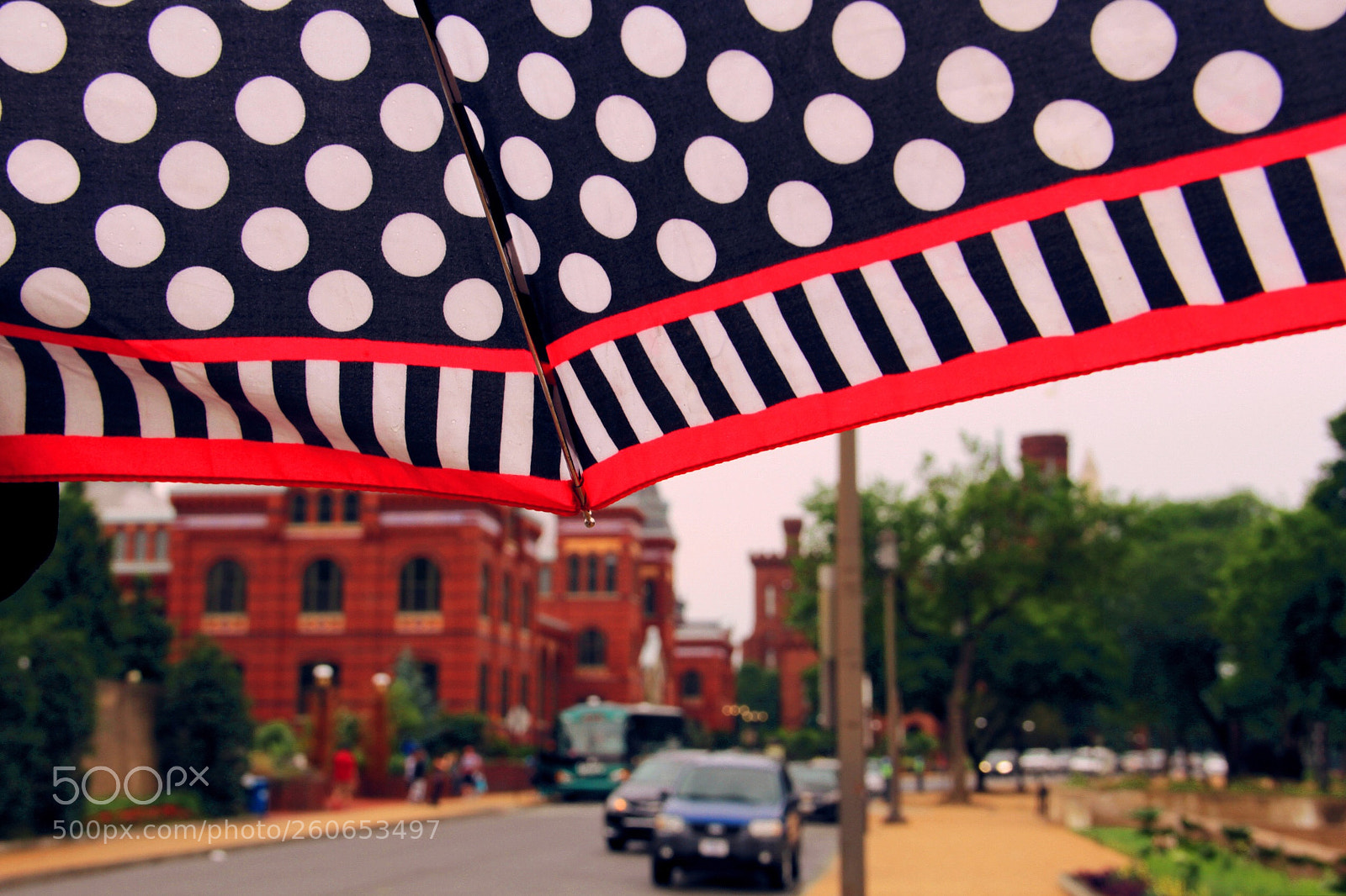 Canon EOS 60D sample photo. Umbrella weather  photography