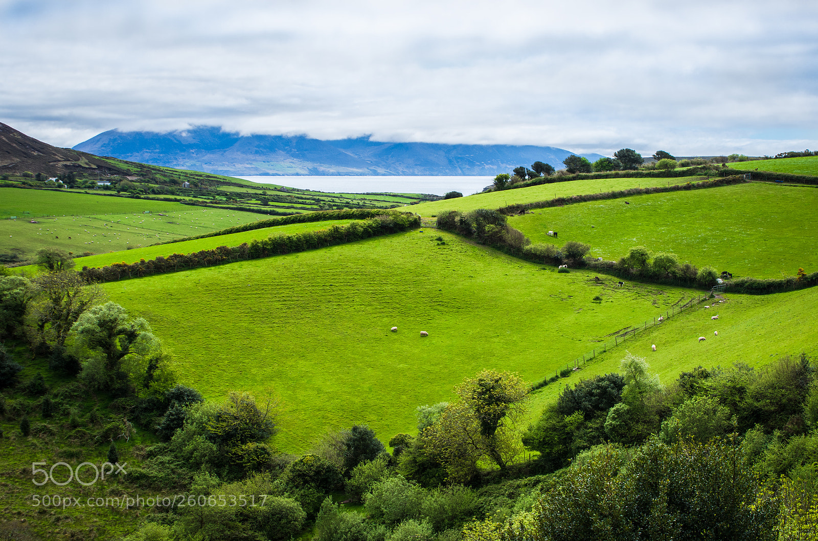 Pentax K-30 sample photo. Ireland. ring of kerry photography