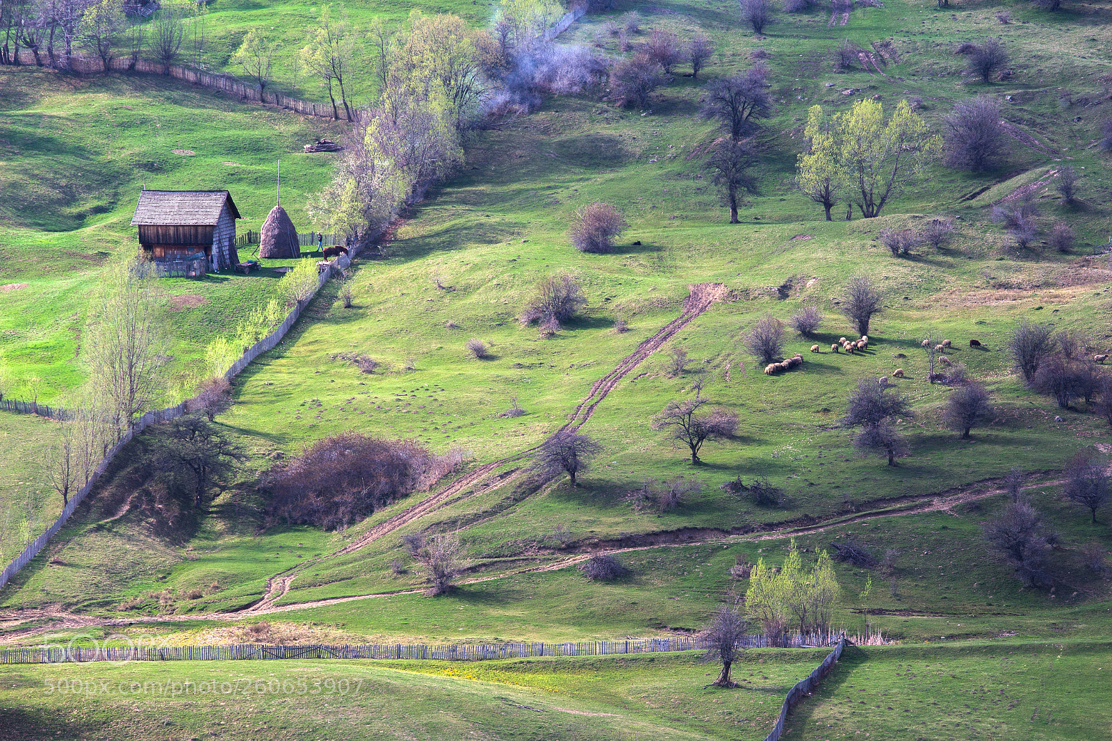 Canon EOS 700D (EOS Rebel T5i / EOS Kiss X7i) sample photo. Countryside photography