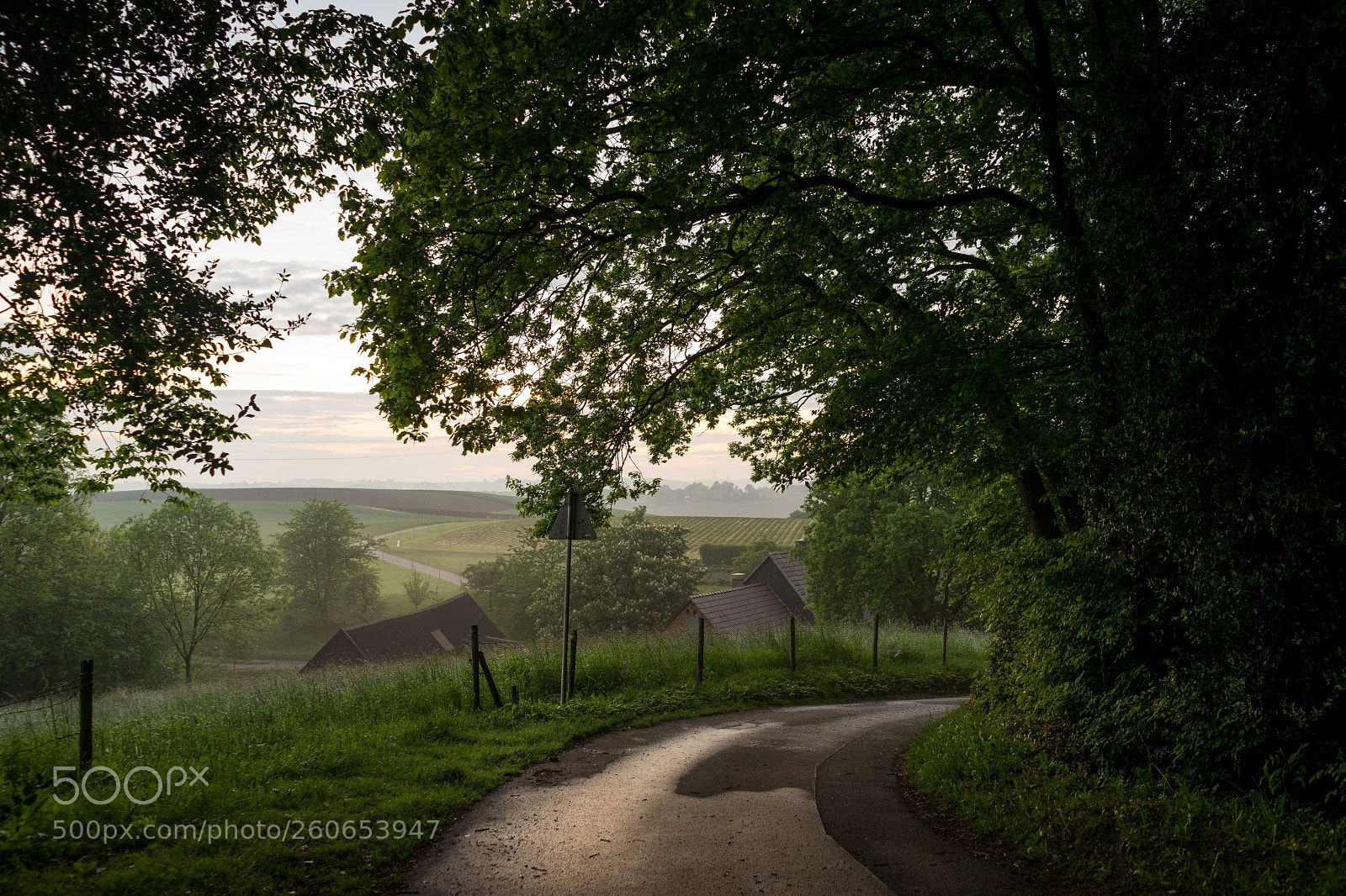 Sony a7 II sample photo. Frankholzhäuschen walk photography