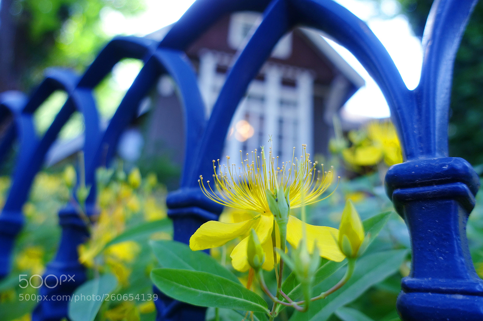 Sony Cyber-shot DSC-RX100 III sample photo. Hibiya park, tokyo photography