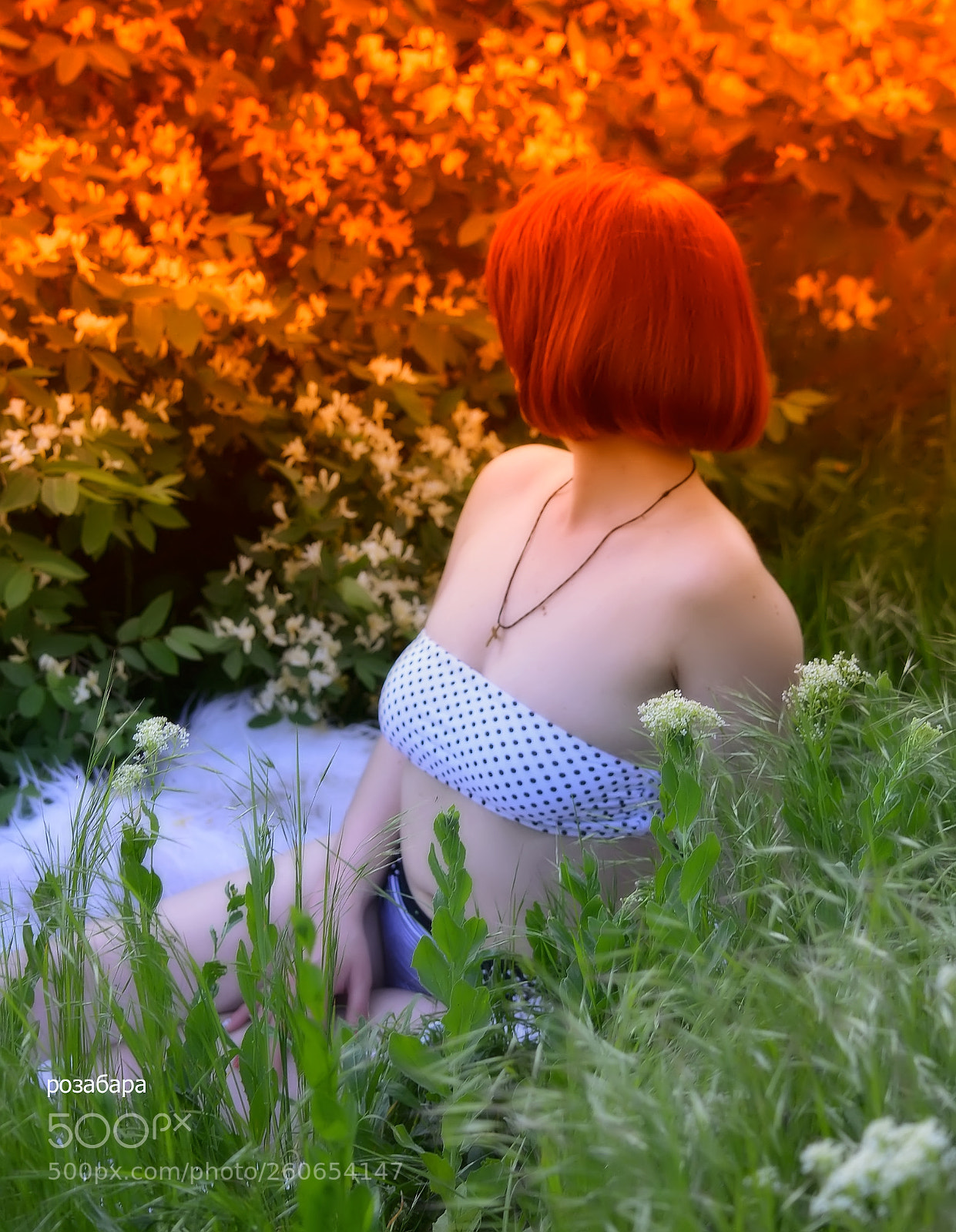 Nikon D3200 sample photo. горим... photography