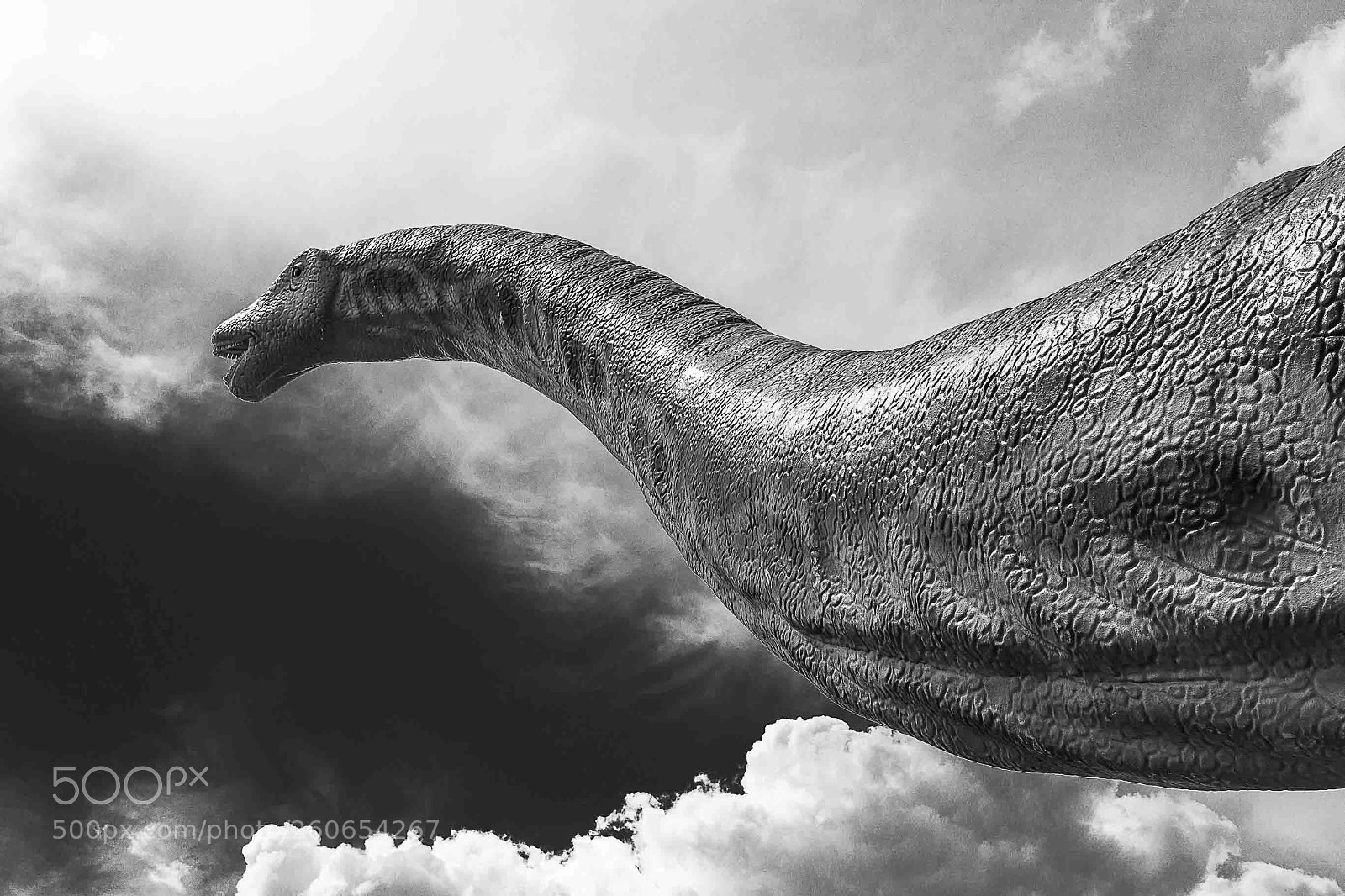 Sony a6000 sample photo. Dinoworld i photography