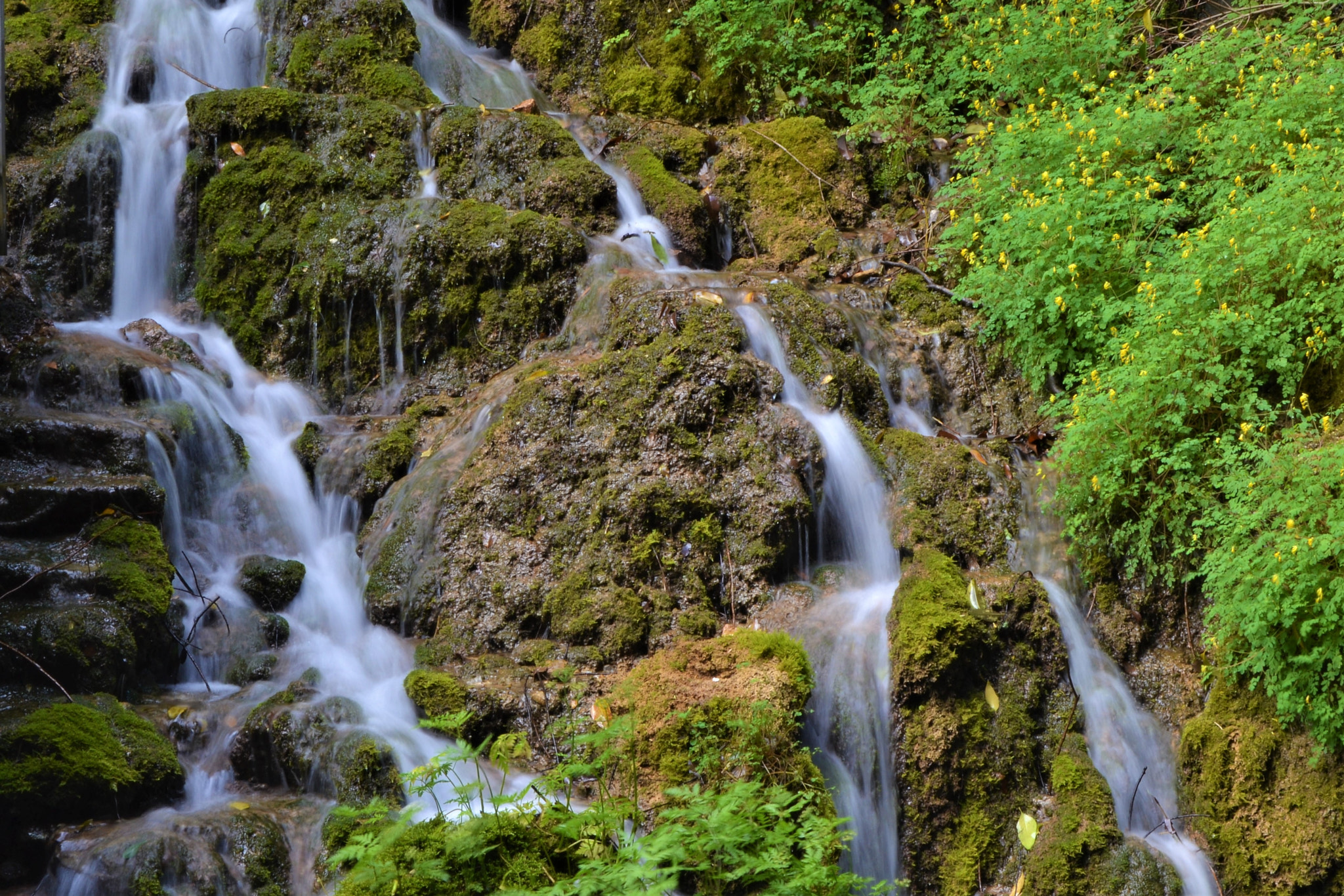 Nikon D3100 sample photo. Cascade photography