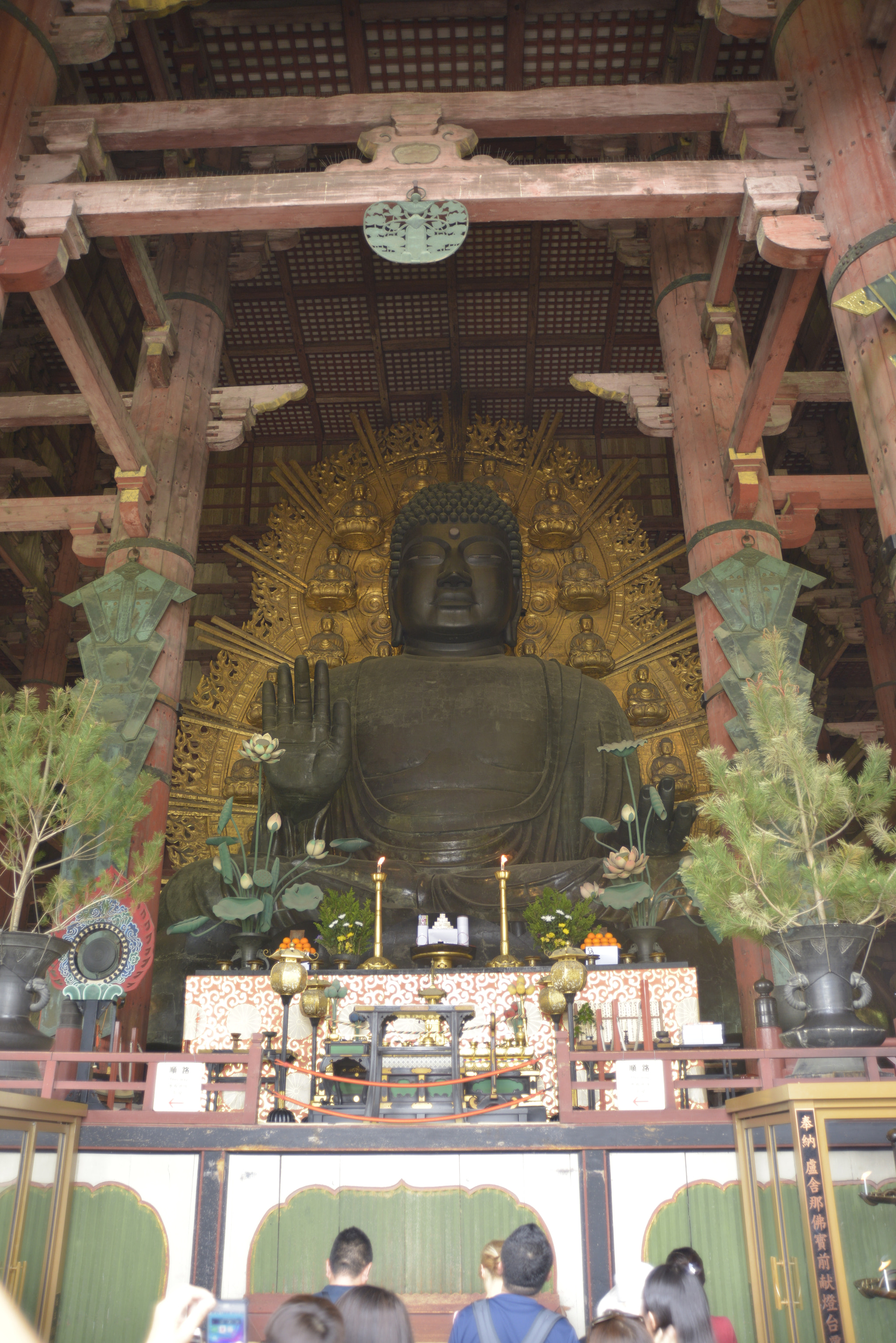 Nikon D800E sample photo. 東大寺大仏 photography