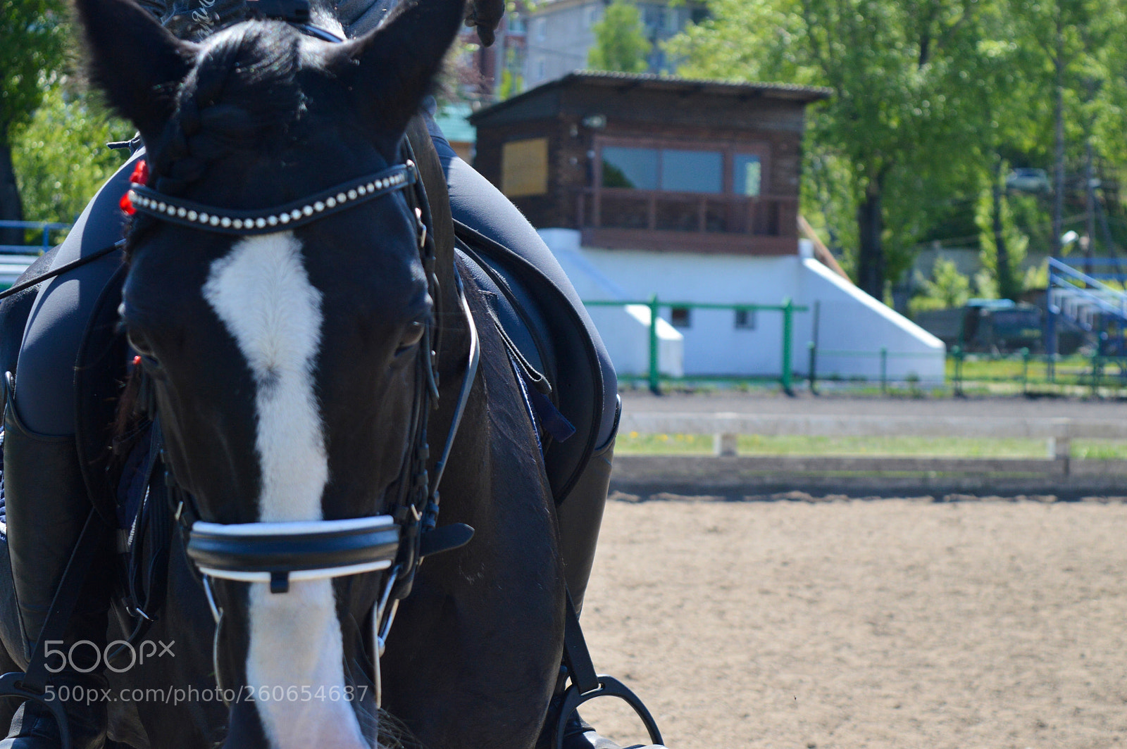 Nikon D3200 sample photo. Маша и Шулер photography