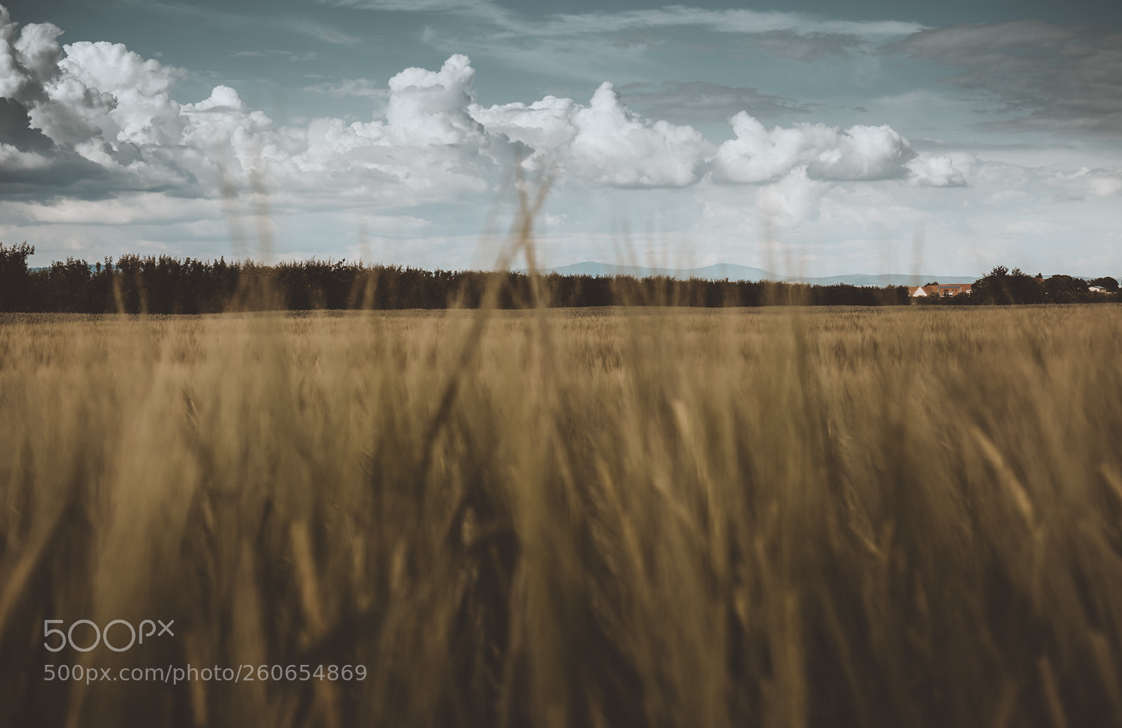 Canon EOS 6D sample photo. Feld bei wackernheim... photography