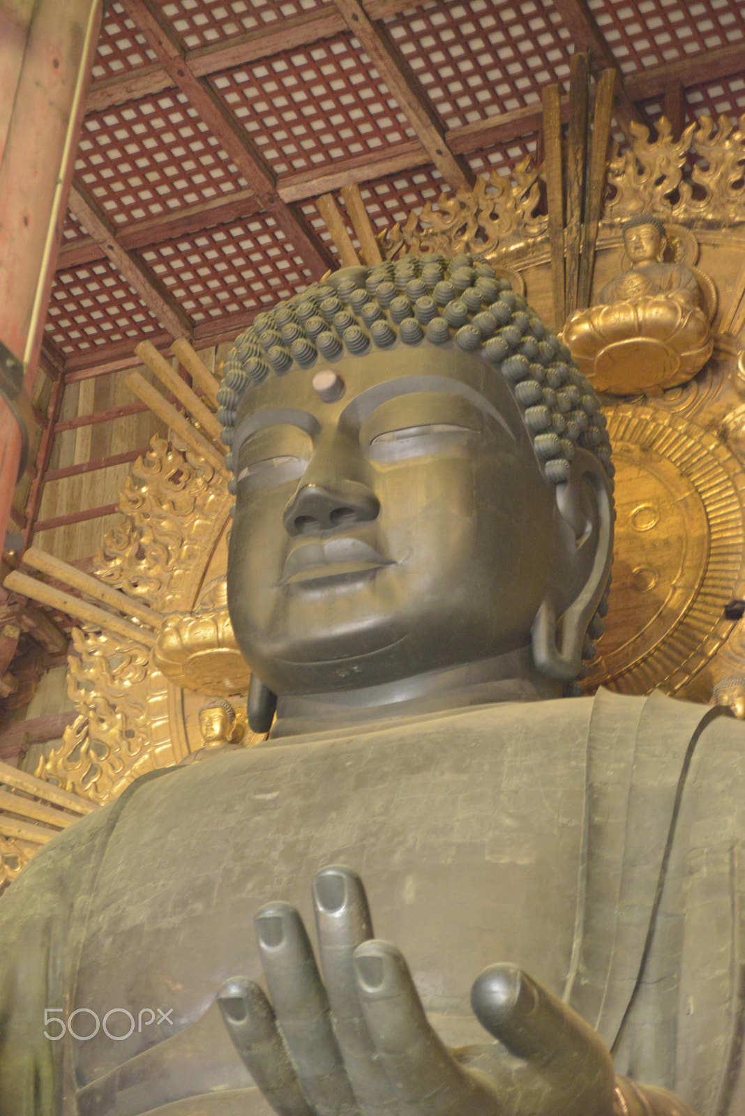Nikon D800E sample photo. 東大寺大仏2 photography
