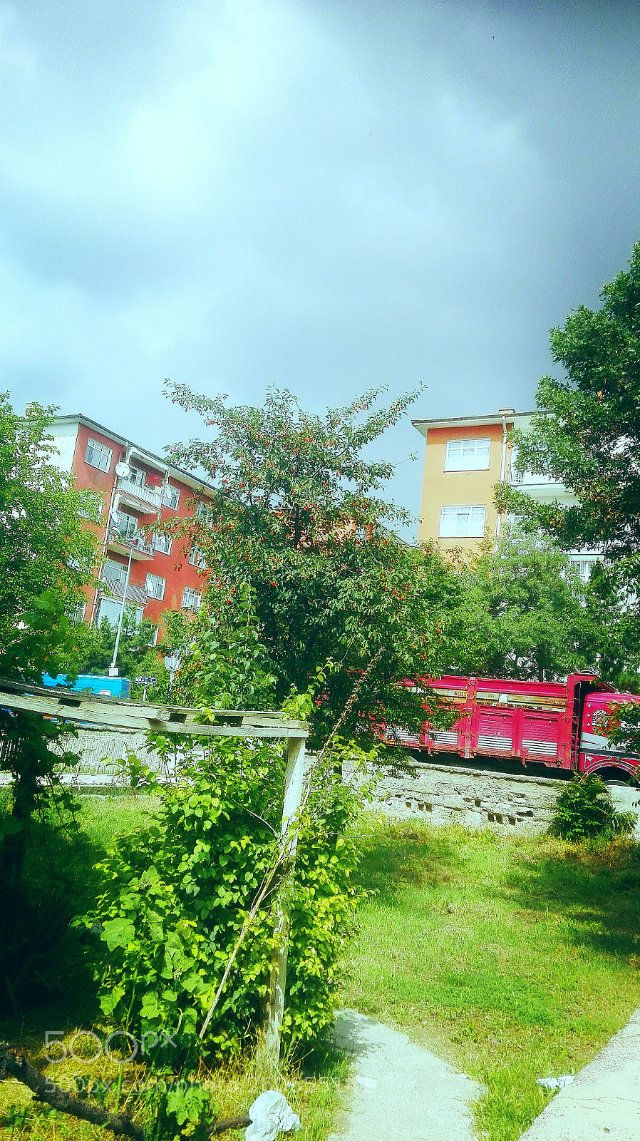 HUAWEI P8 Lite sample photo. Colourful and peaceful residing photography