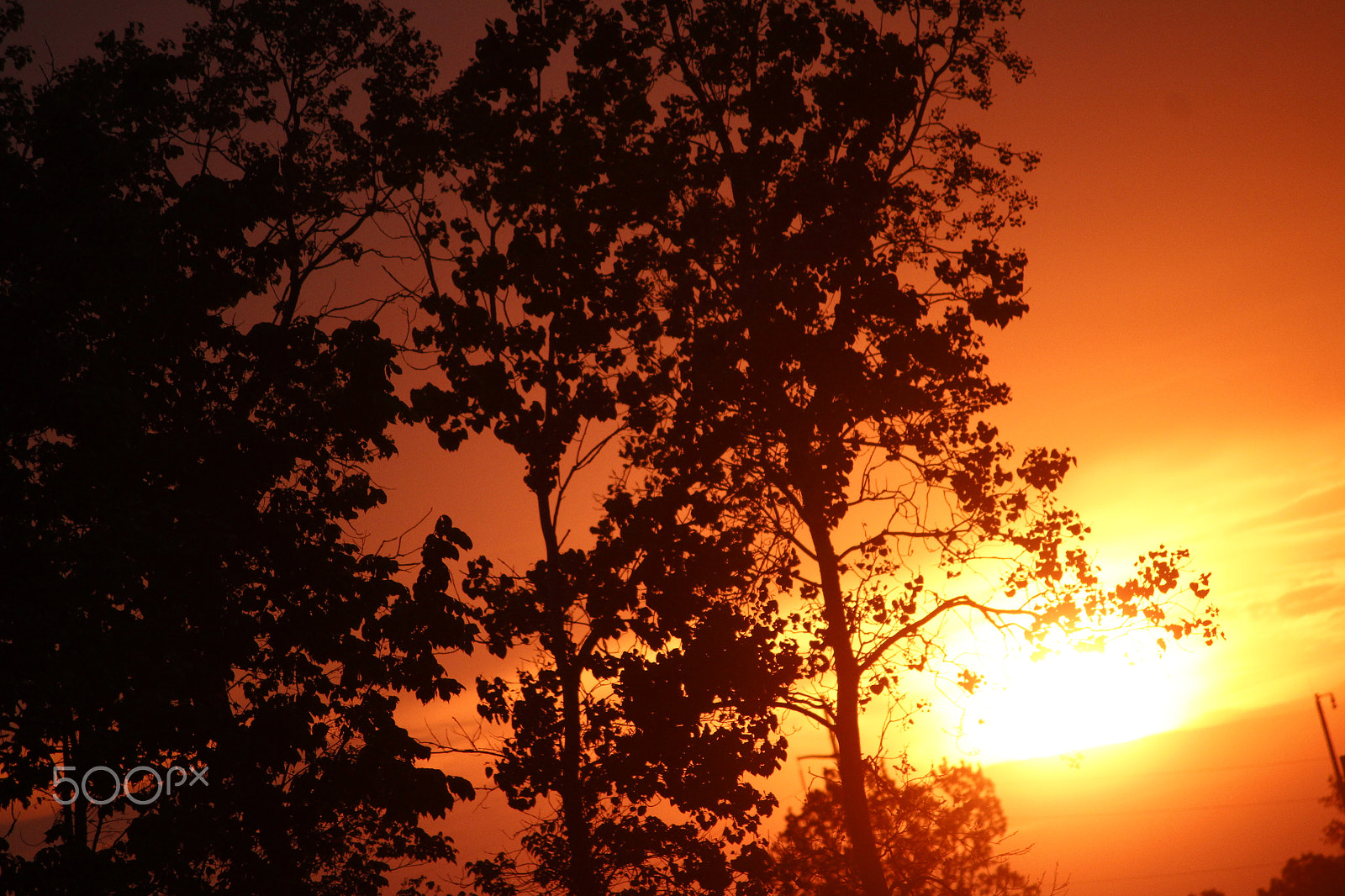 Canon EF-S 55-250mm F4-5.6 IS sample photo. Mg photography