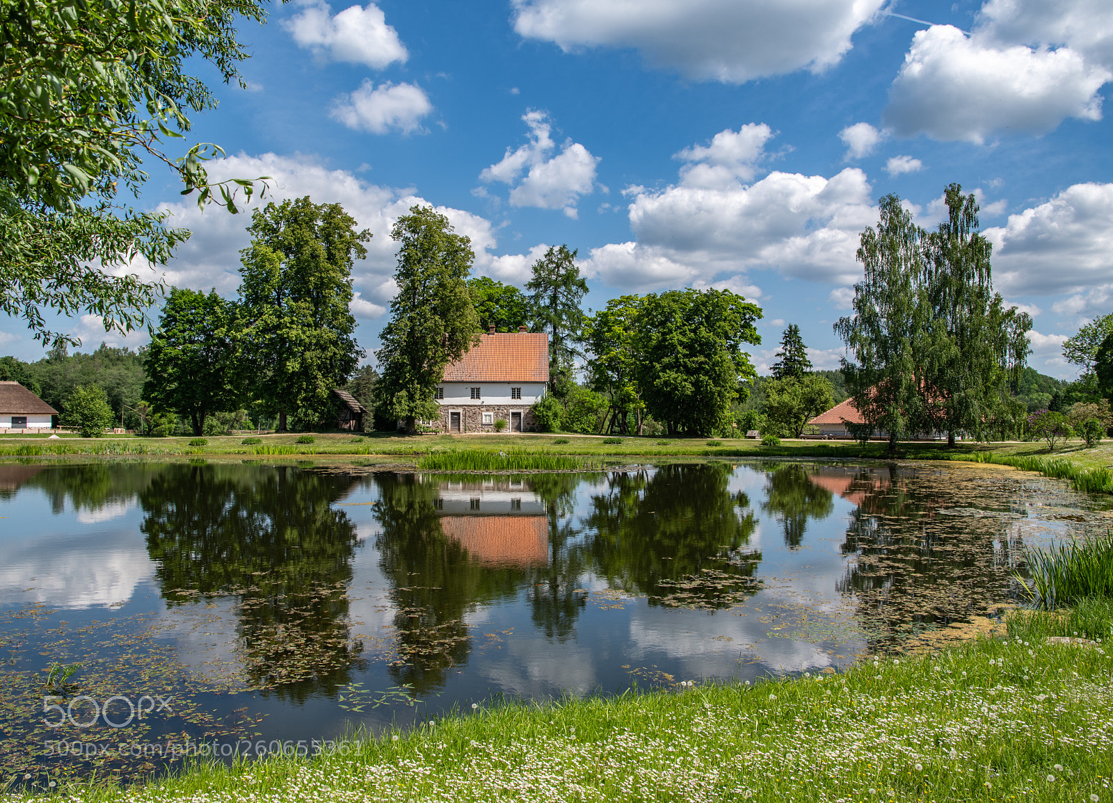 Nikon D850 sample photo. Sigulda gauja national park photography