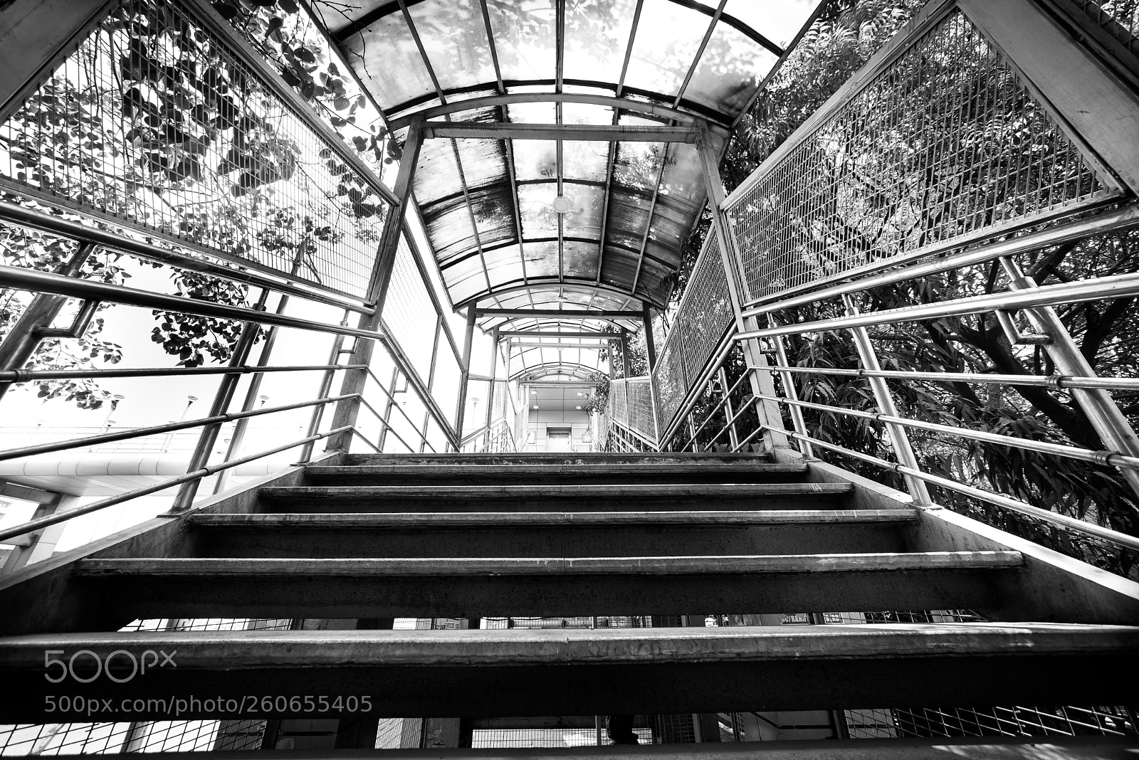 Nikon D750 sample photo. Steps photography