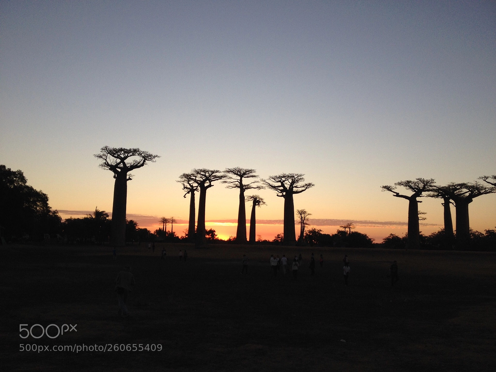 Apple iPhone 4S sample photo. La route de baobab photography
