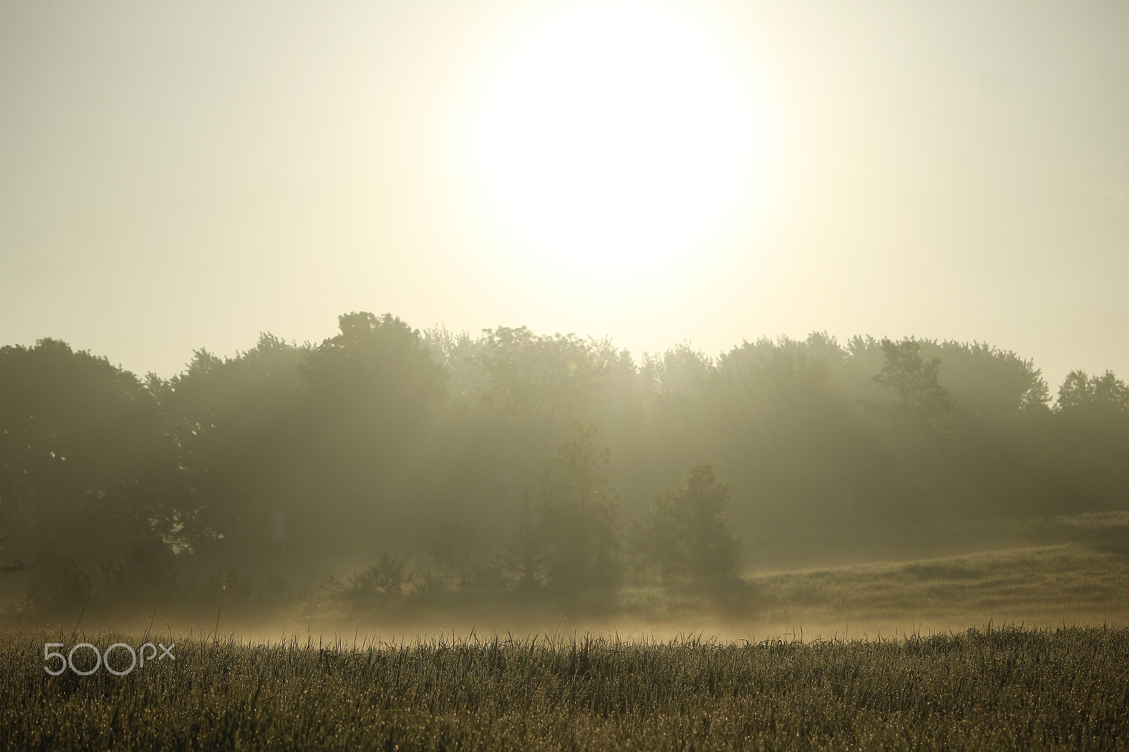 Canon EF-S 55-250mm F4-5.6 IS sample photo. Albion michigan sunrise photography