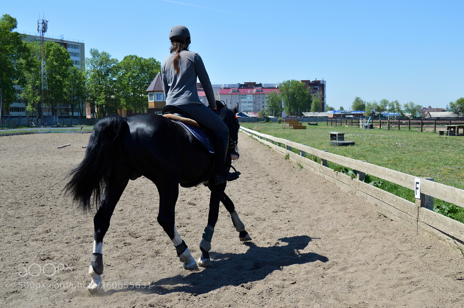 Nikon D3200 sample photo. Шулер и Маша photography