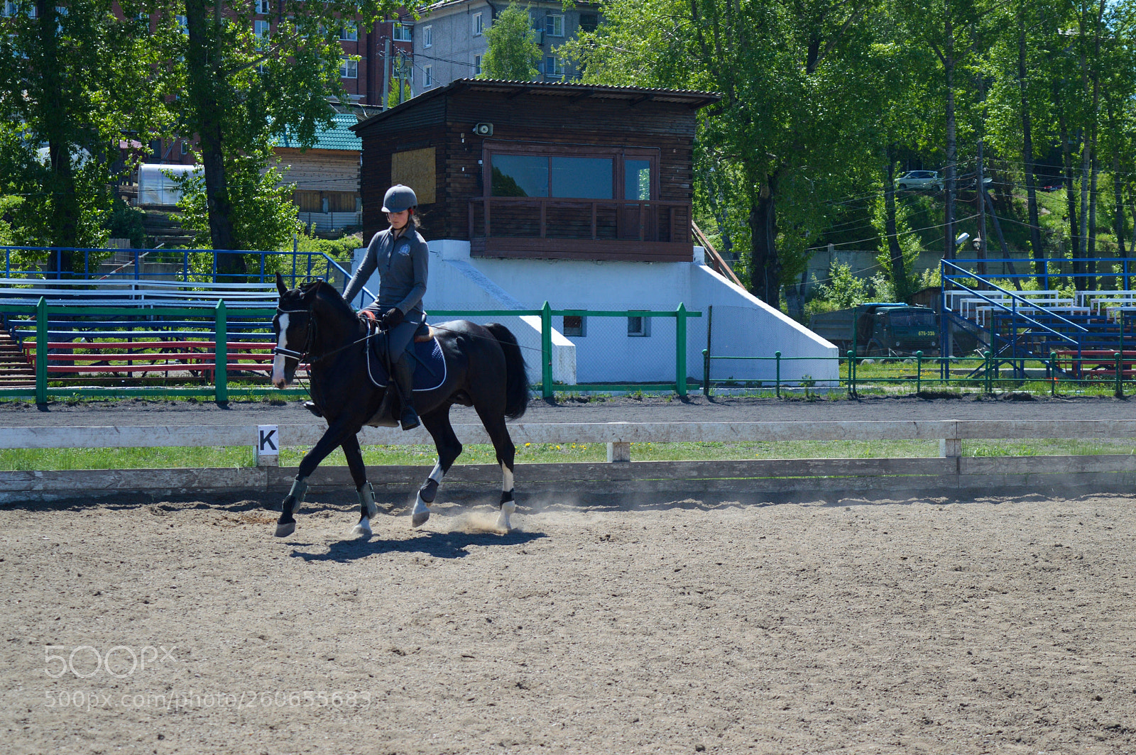 Nikon D3200 sample photo. Шулер и Маша photography