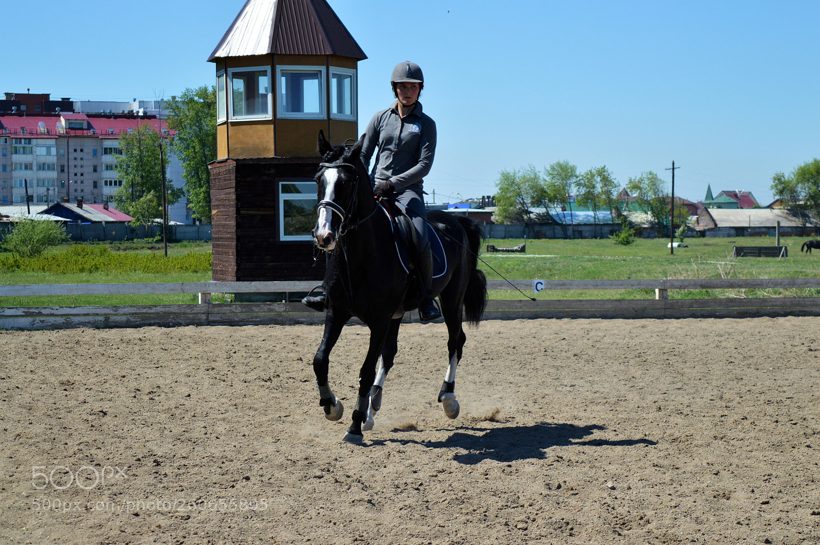 Nikon D3200 sample photo. Шулер и Маша photography
