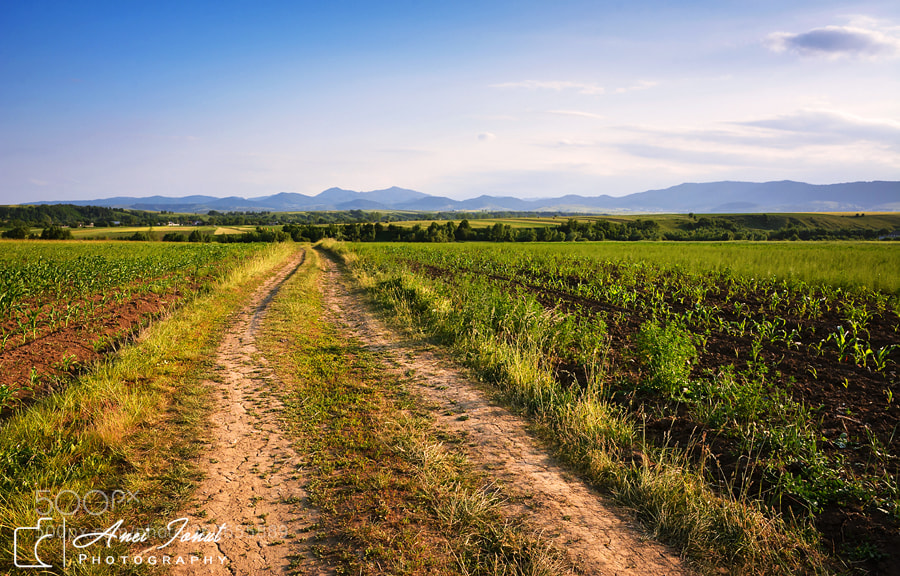 Nikon D7100 sample photo. Old road photography