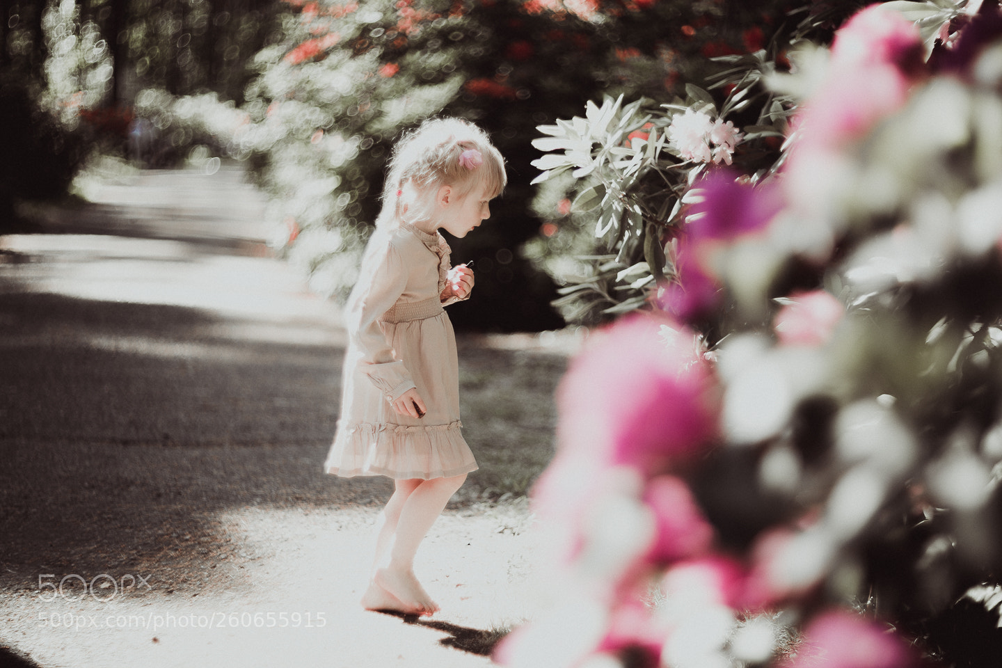 Canon EOS 5D Mark IV sample photo. Nastya photography