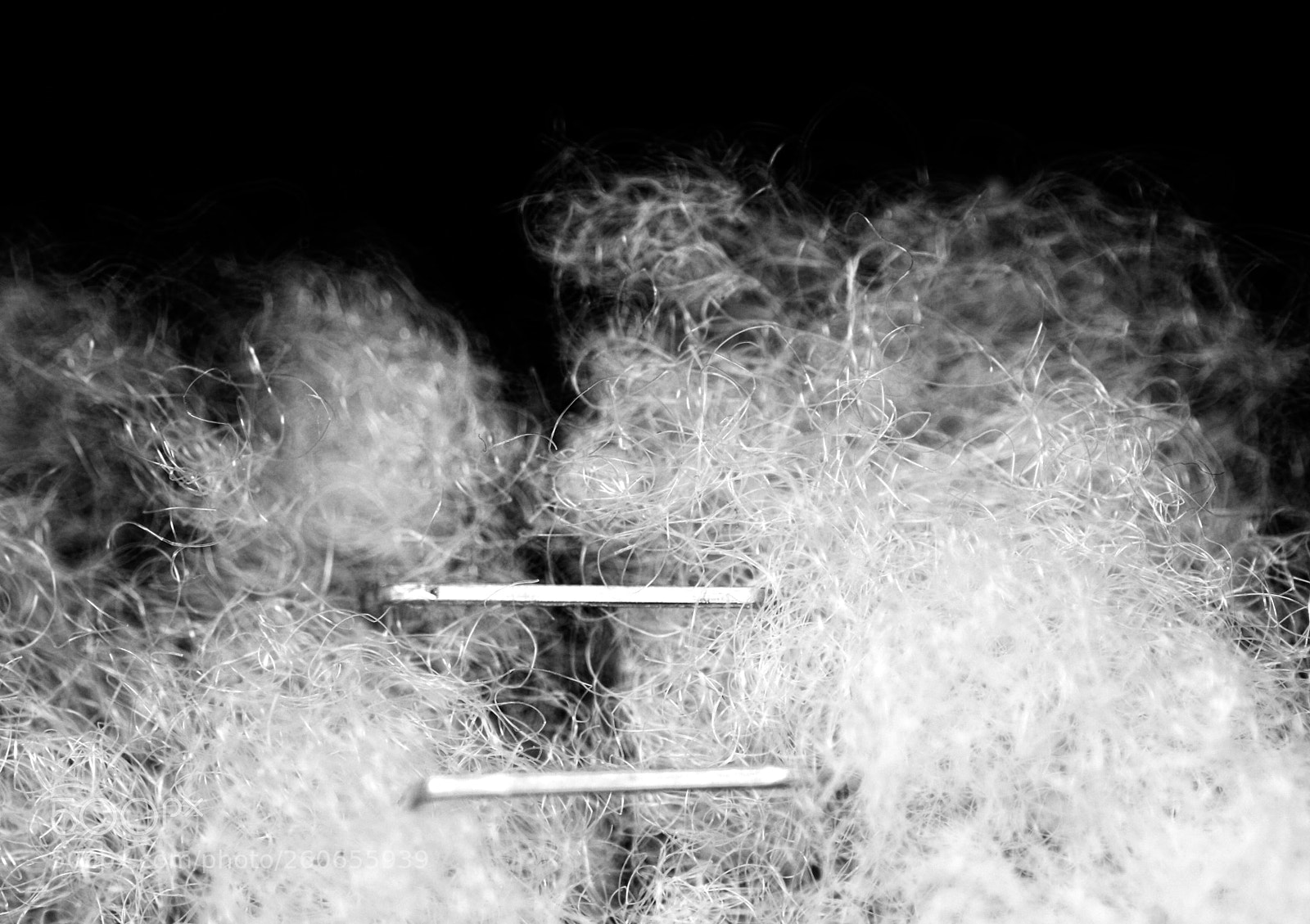 Pentax K-30 sample photo. Cotton and staples photography
