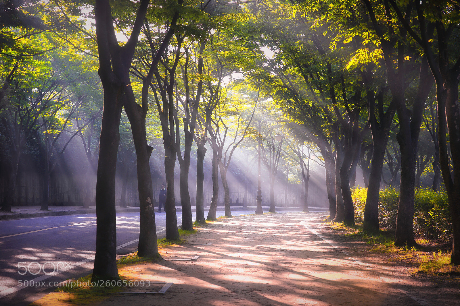 Canon EOS 6D sample photo. 仁川, light shower photography