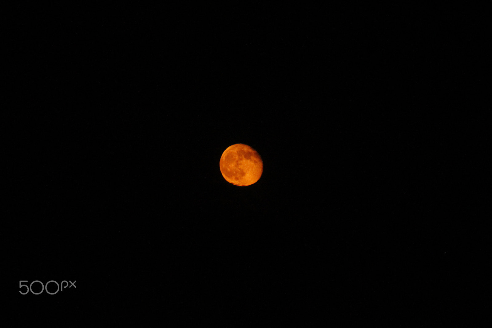 Canon EF-S 55-250mm F4-5.6 IS sample photo. Mg photography