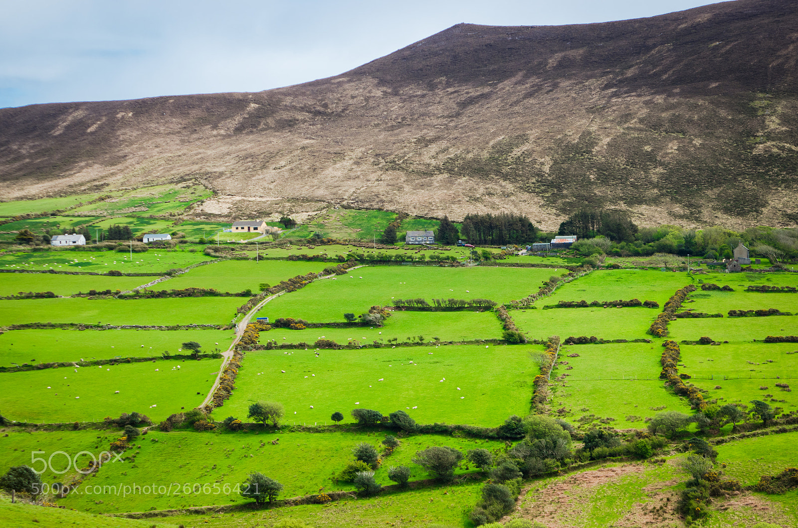 Pentax K-30 sample photo. Ireland photography