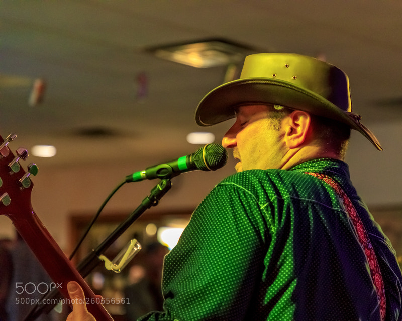Canon EOS 5D Mark IV sample photo. Whiskey horse photography