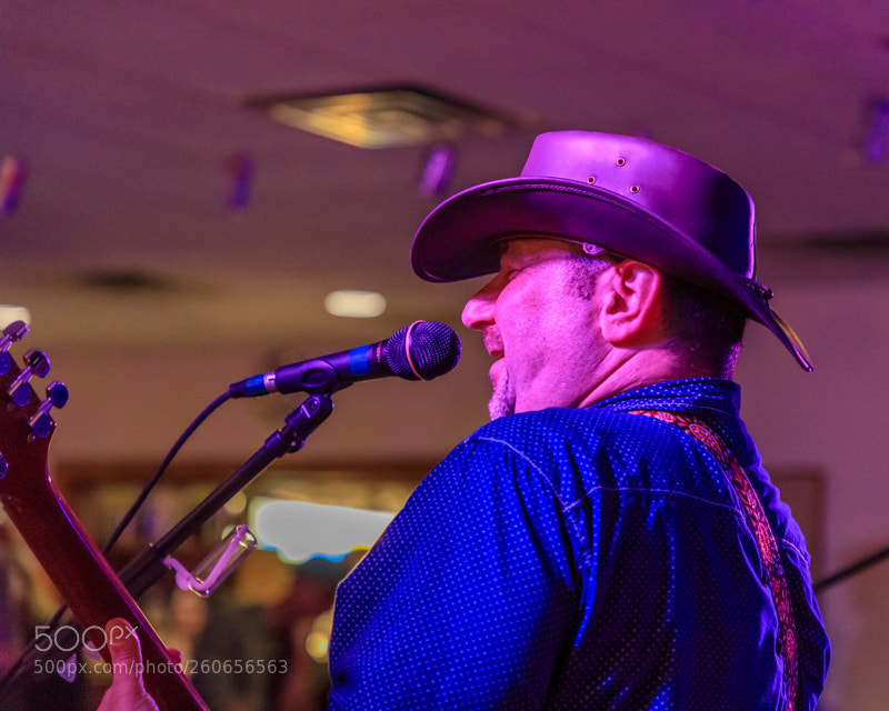Canon EOS 5D Mark IV sample photo. Whiskey horse photography