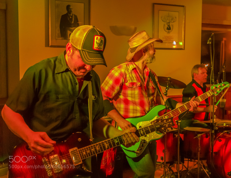 Canon EOS 5D Mark IV sample photo. Whiskey horse photography