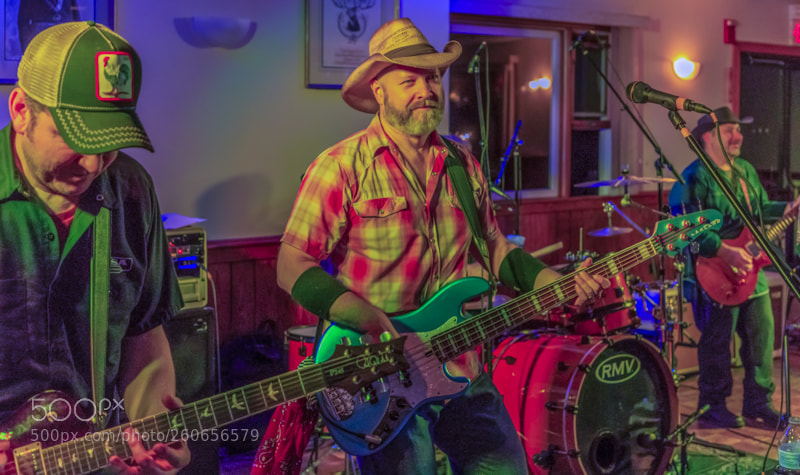 Canon EOS 5D Mark IV sample photo. Whiskey horse photography