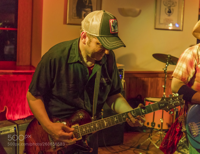 Canon EOS 5D Mark IV sample photo. Whiskey horse photography