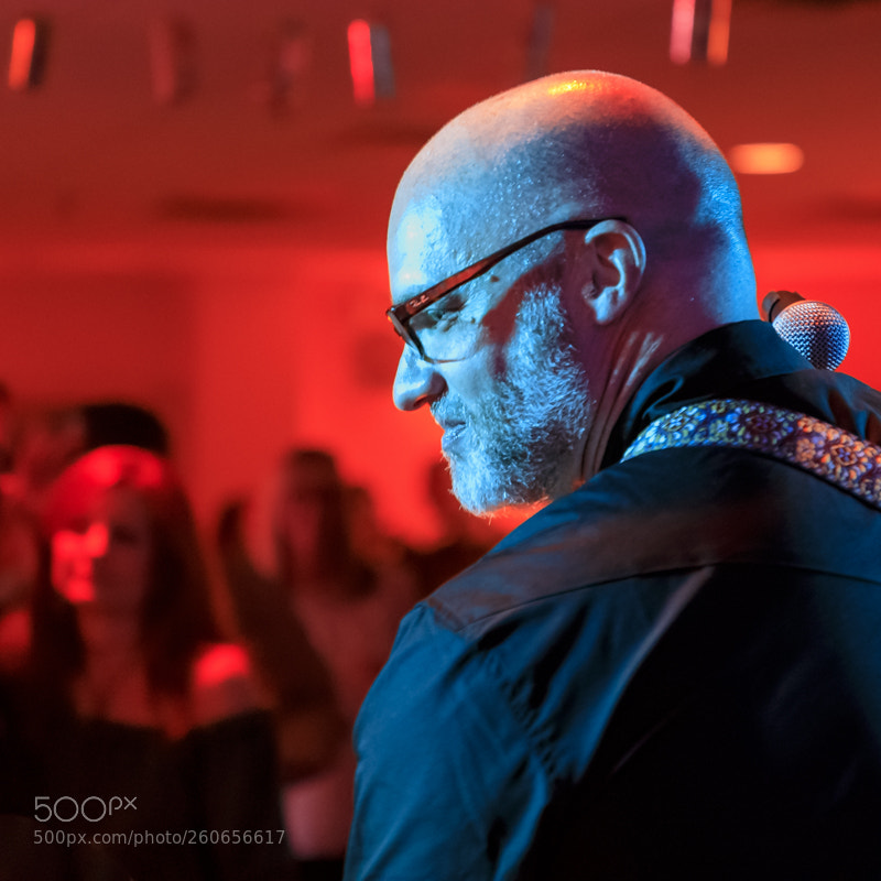 Canon EOS 5D Mark IV sample photo. Whiskey horse photography