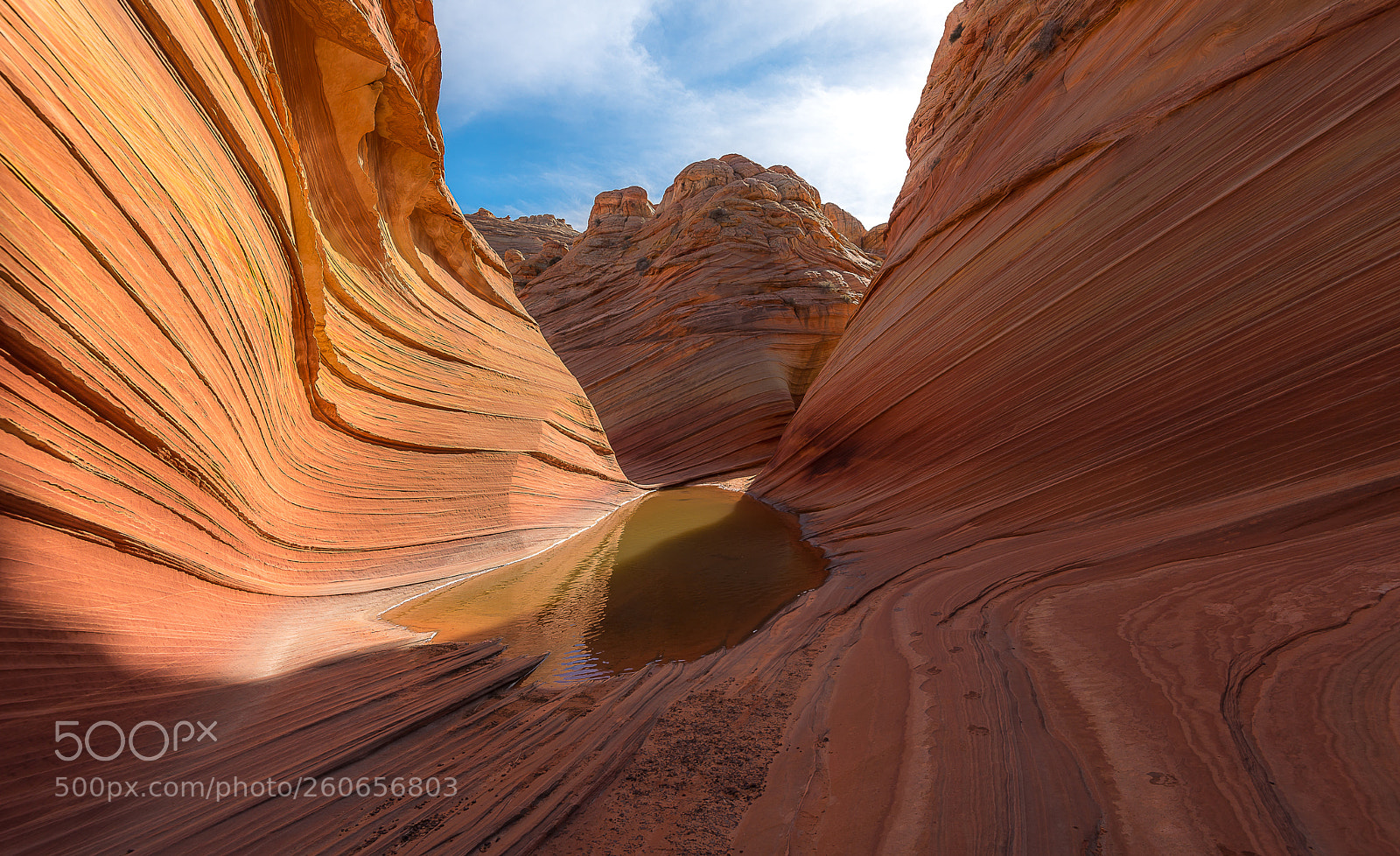 Nikon D800E sample photo. The wave, navajo sandstone photography