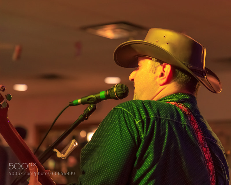 Canon EOS 5D Mark IV sample photo. Whiskey horse photography