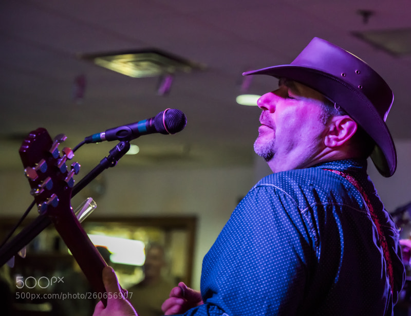 Canon EOS 5D Mark IV sample photo. Whiskey horse photography
