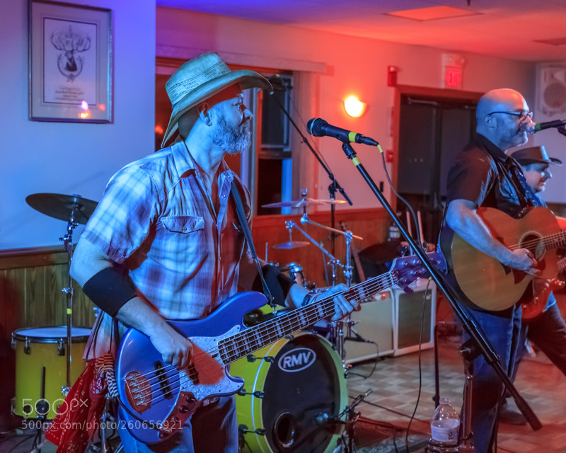 Canon EOS 5D Mark IV sample photo. Whiskey horse photography