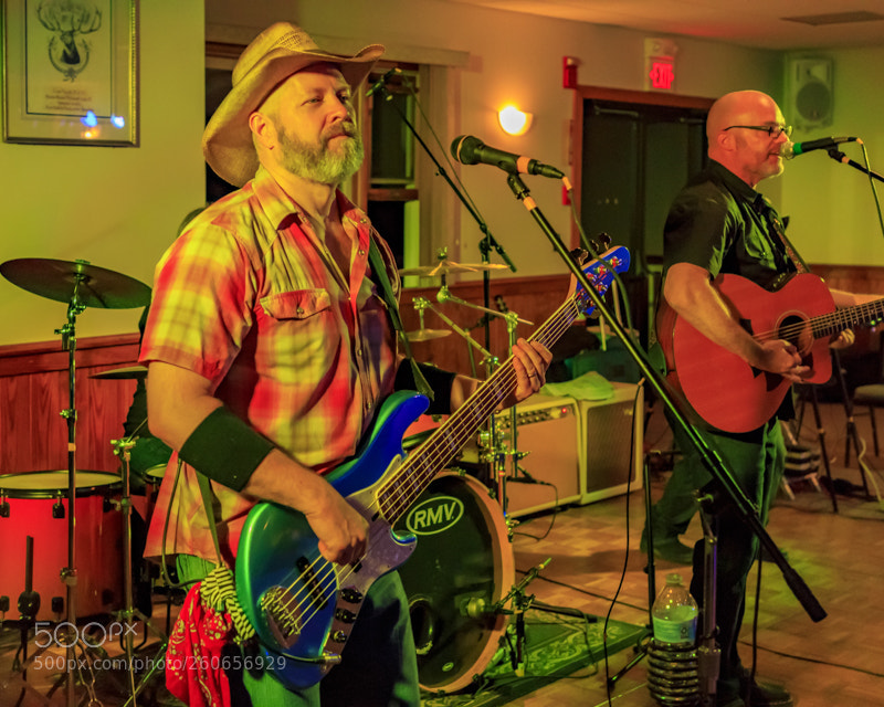 Canon EOS 5D Mark IV sample photo. Whiskey horse photography