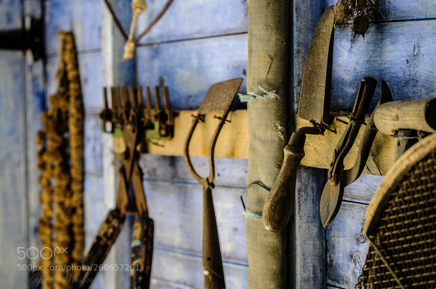 Nikon D300 sample photo. Cosy shed photography