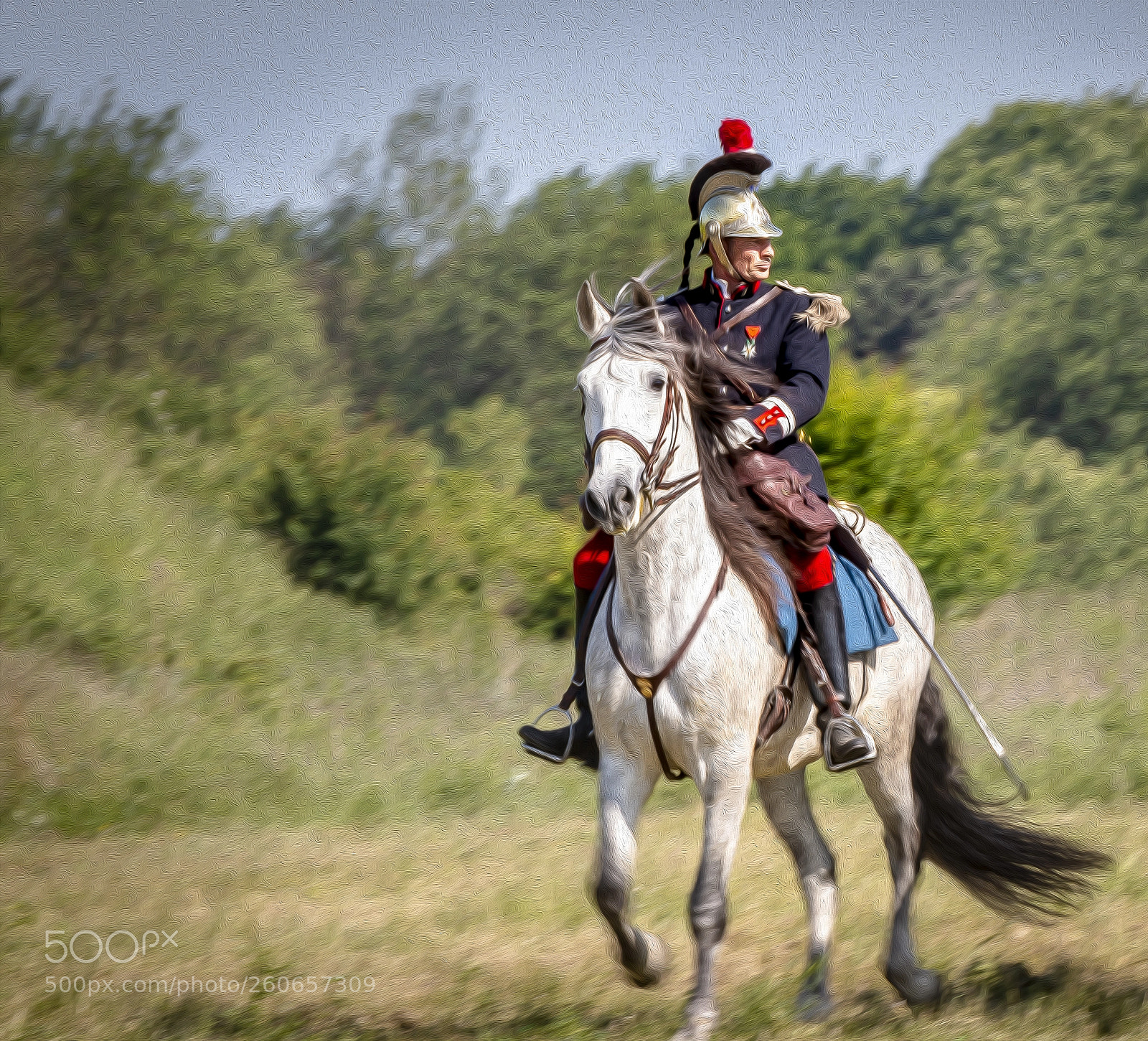 Canon EOS 70D sample photo. Le dragon photography