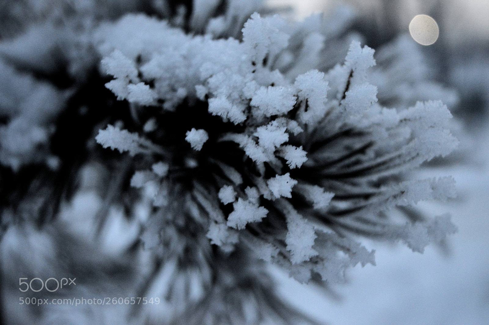 Nikon D3200 sample photo. Зимний вечер photography