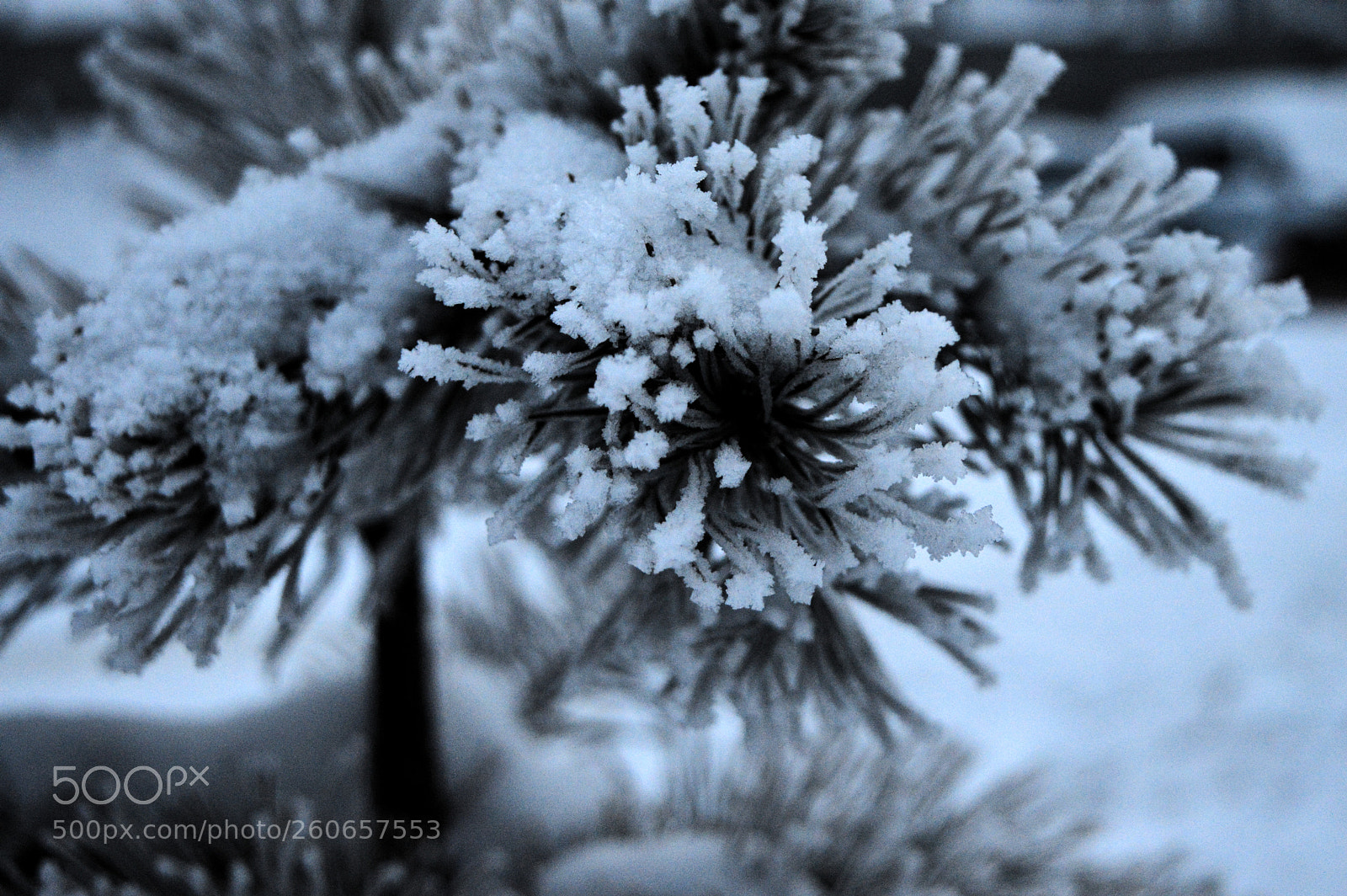 Nikon D3200 sample photo. Зимний вечер photography