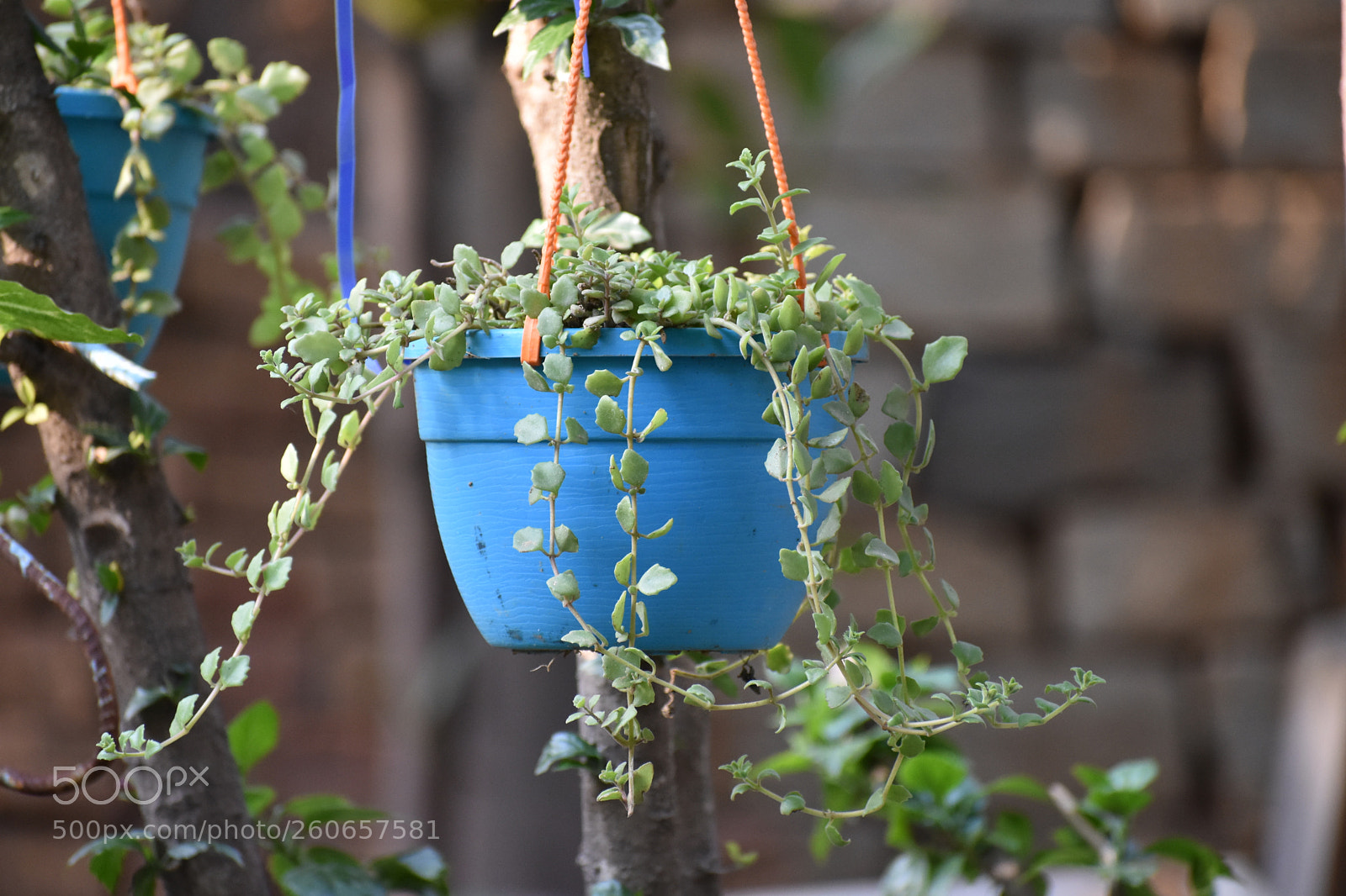 Nikon D3400 sample photo. Untitled photography