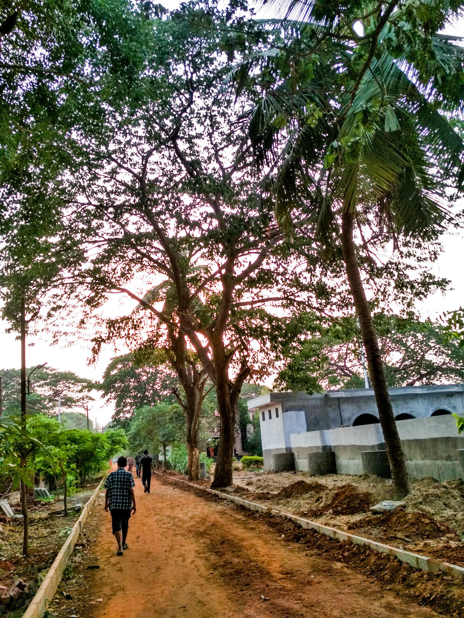Xiaomi Redmi 4 Pro sample photo. Trees in park photography
