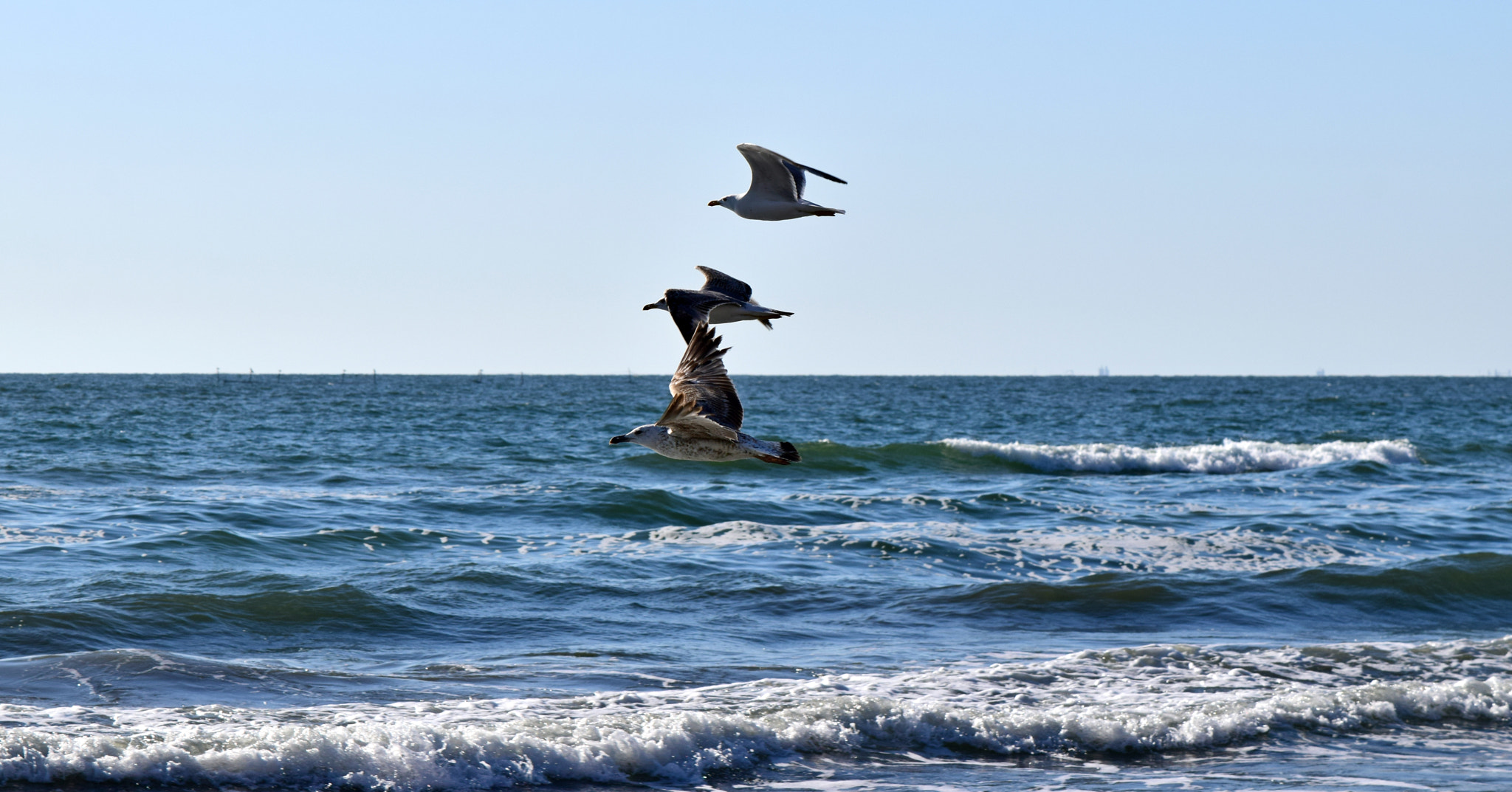 Nikon AF-S DX Micro-Nikkor 85mm F3.5G ED VR sample photo. Seascape photography